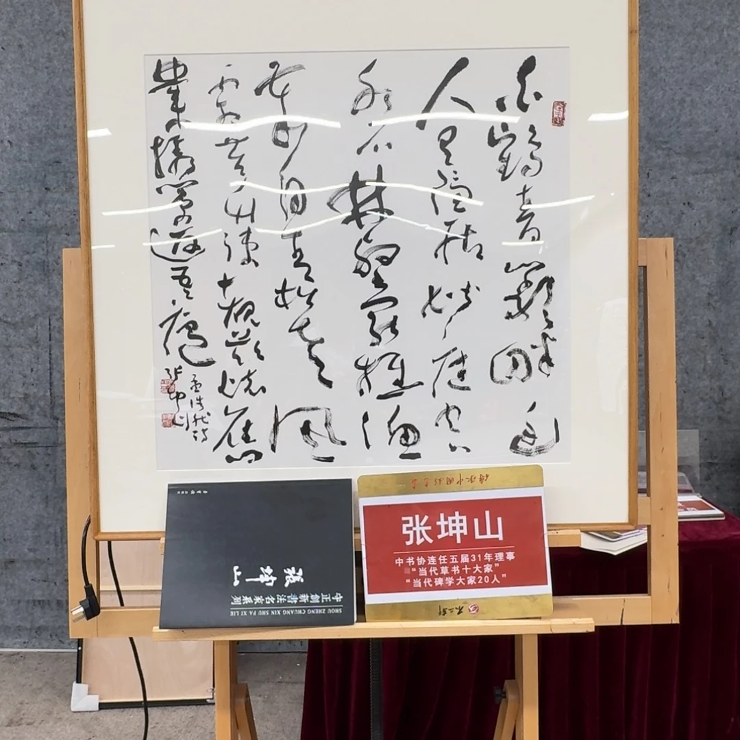 书法书法ZKS老师作品