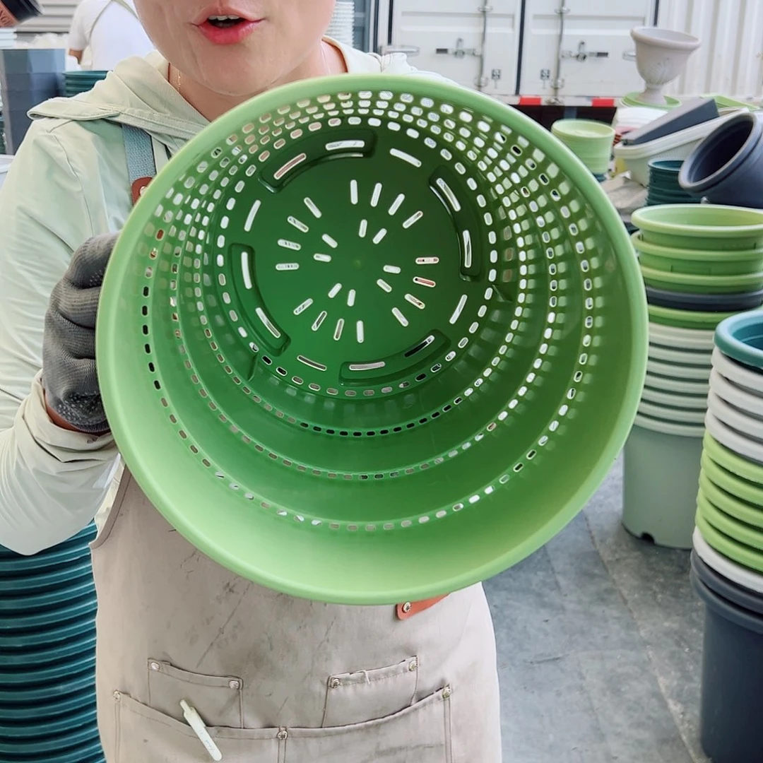 360控根4#果绿色4个无托