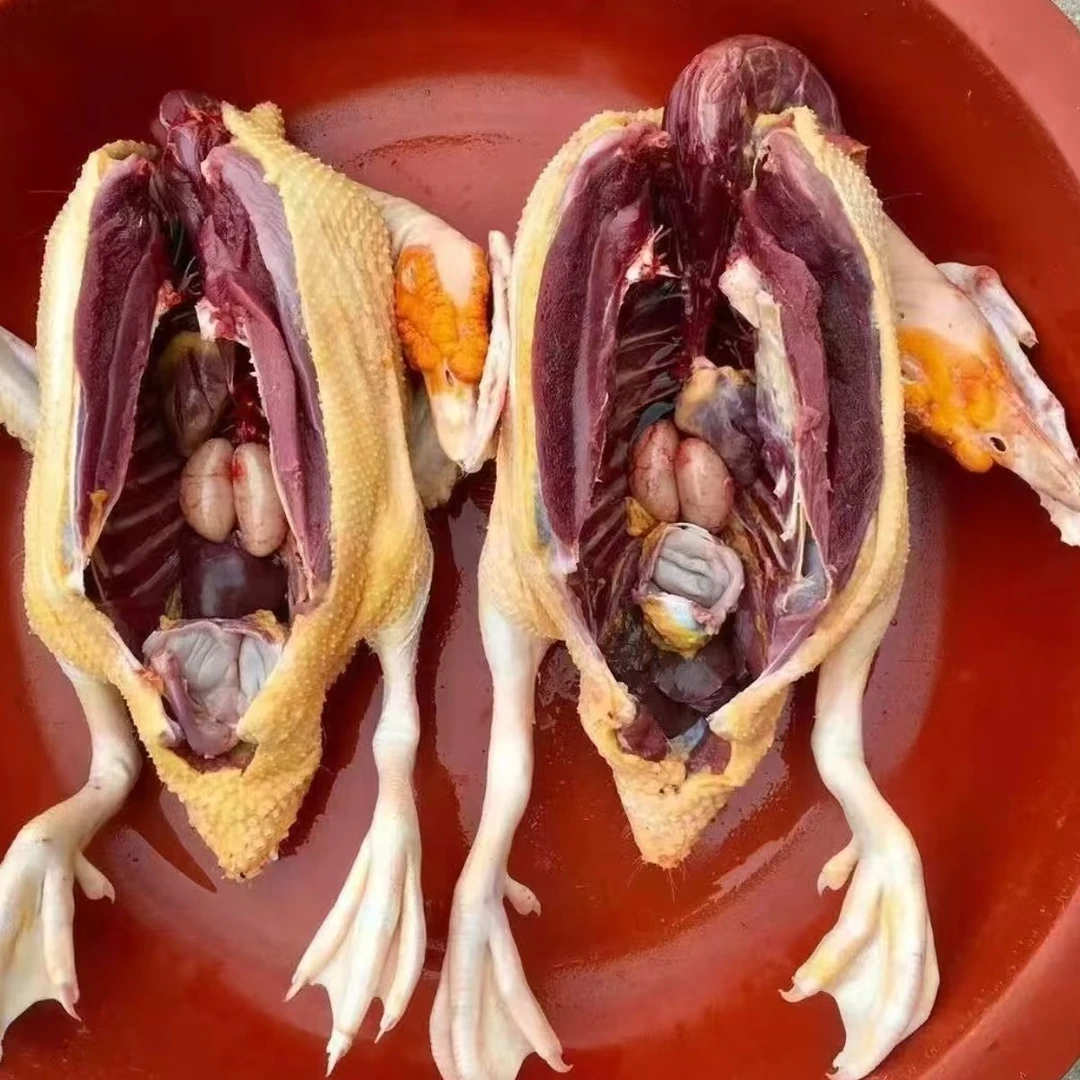 潮星精选山里农家鸭子山里鸡