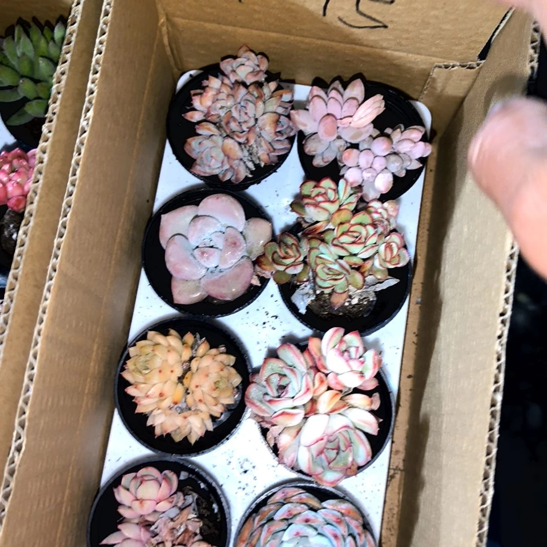 静*，满9元包邮，1-75号