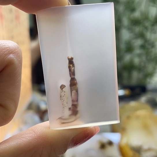 玛瑙/玉髓吊坠未镶嵌觉*子