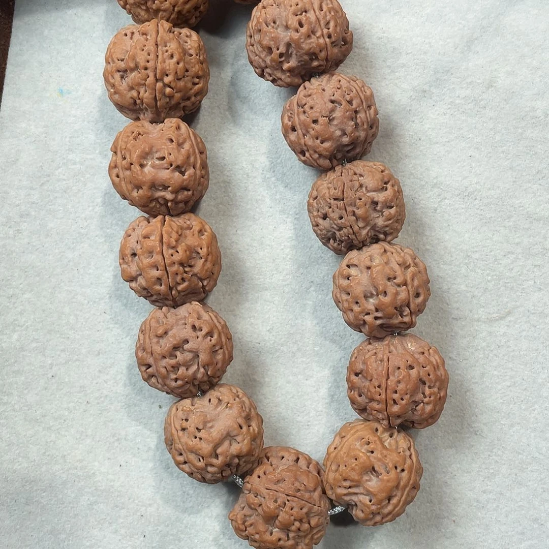 吊坠金刚菩提21尺红皮4瓣