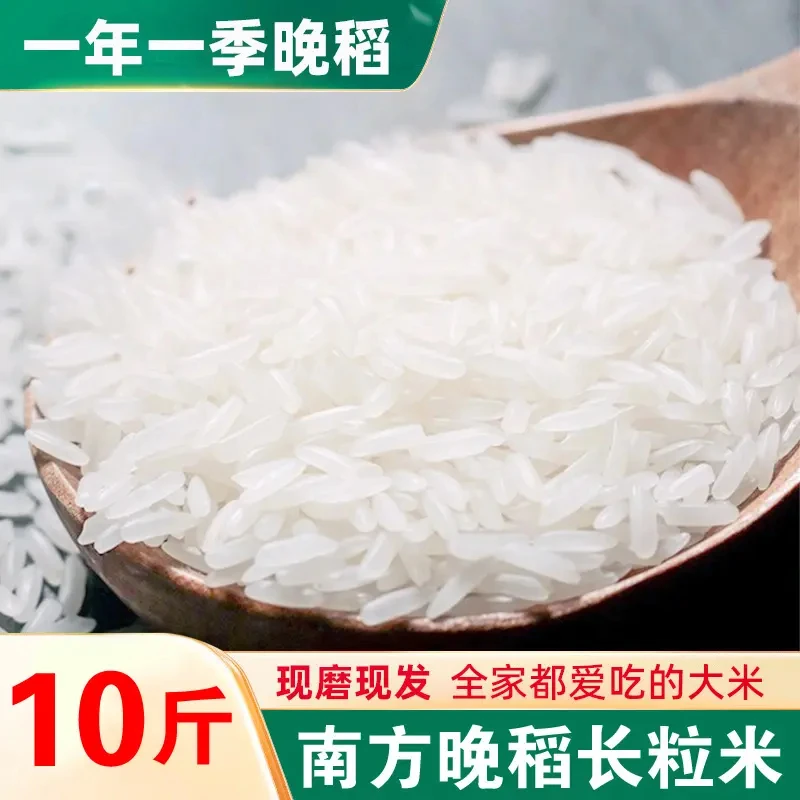 主播专属 10斤20斤50斤长粒香米丝苗米新米适合煲仔饭蛋炒饭