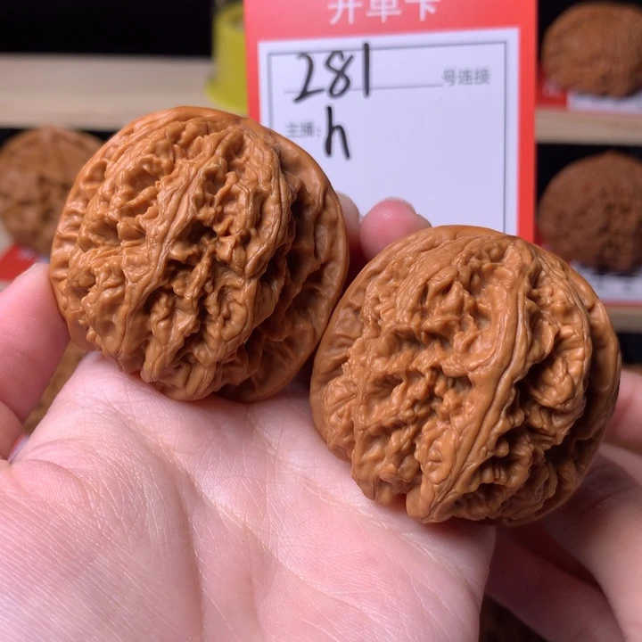 核桃42+粗筋281号