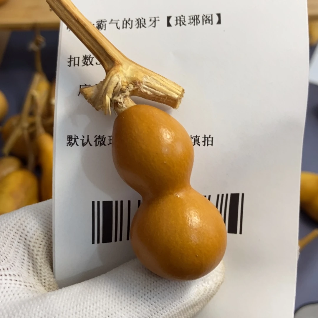 霸****】哈哈哈哈哈哈哈哈哈
