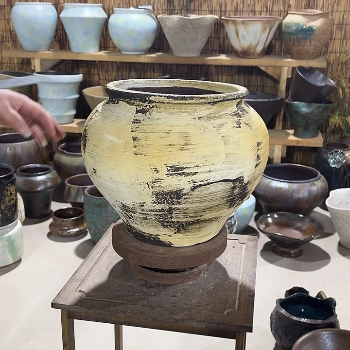 高24/22花盆个个哈哈哈