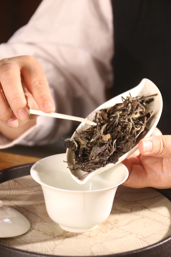 2006福鼎白茶北仓老白茶