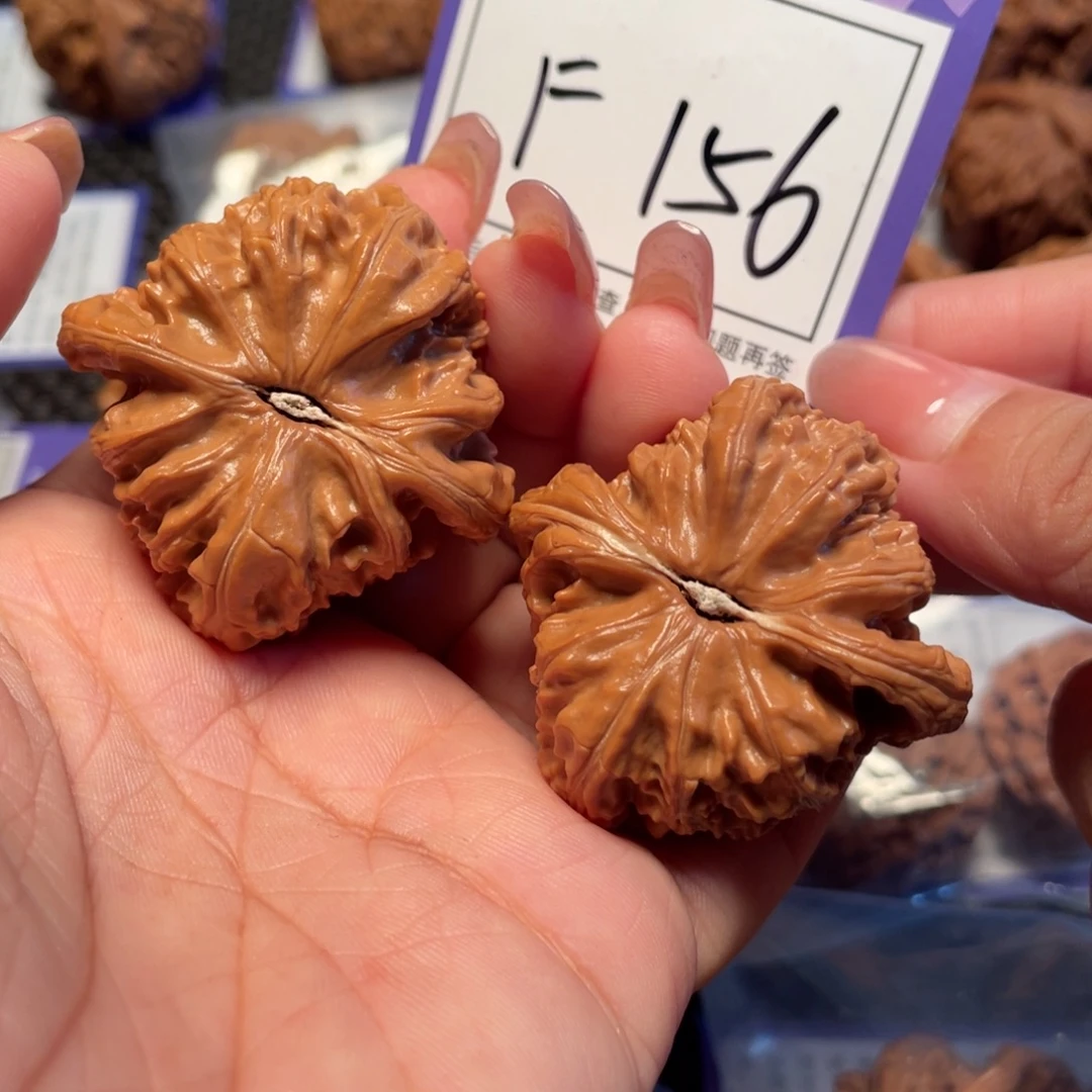 把件桃核156号白狮子41