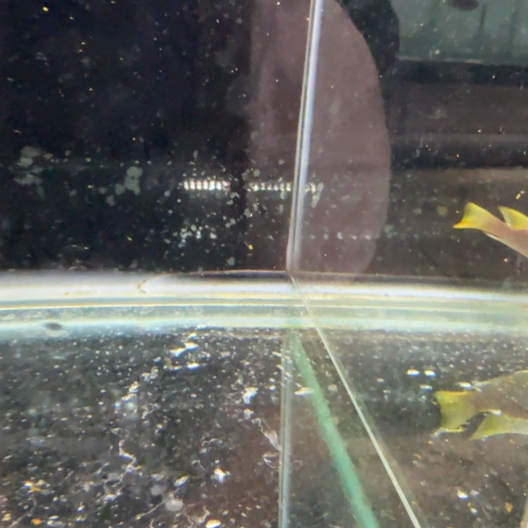 ****海水848小红帽。