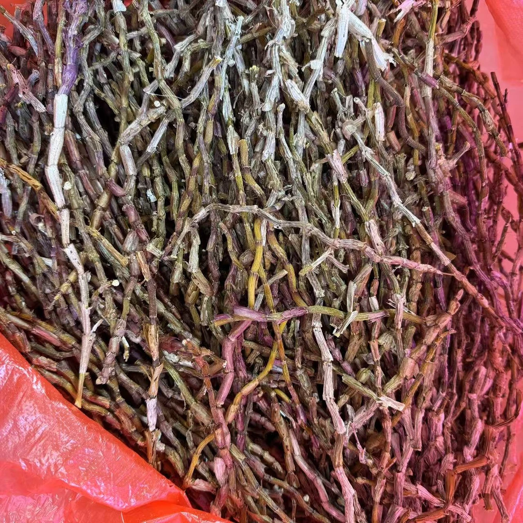 云南高山古树铁皮石斛紫皮石斛直条（200g）1月10【号】