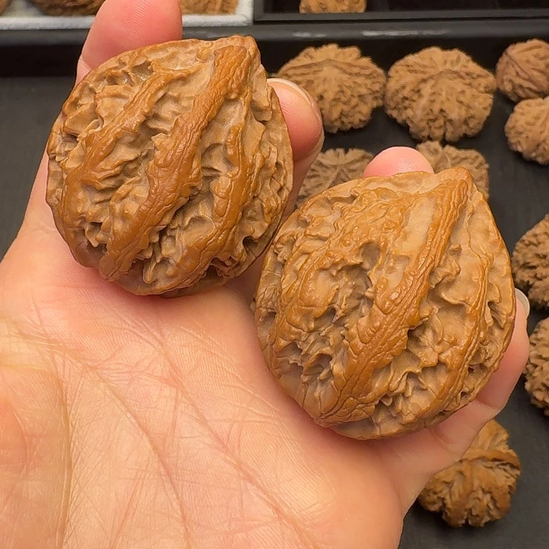 核桃突突突突我来拉