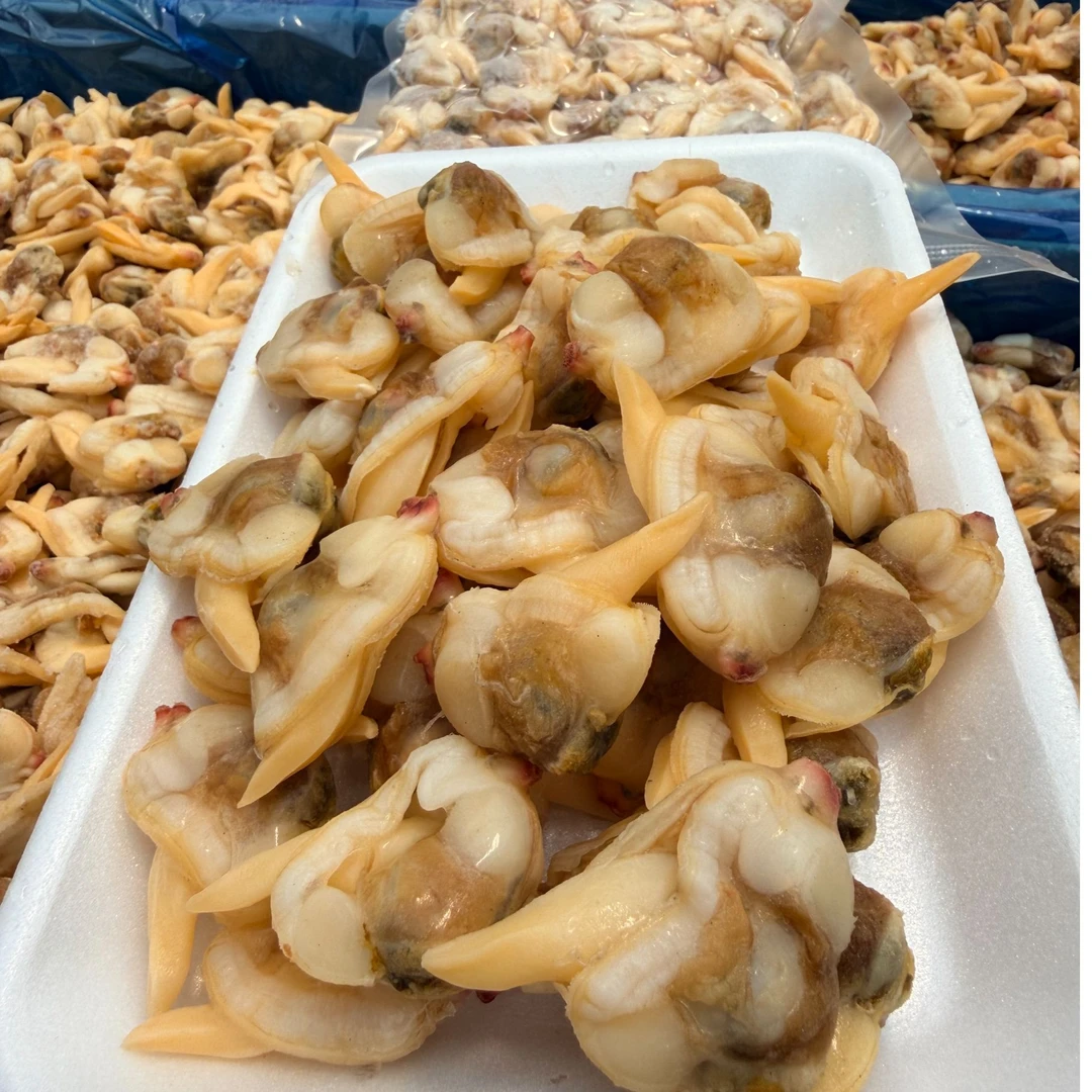 【超大黄蚬子肉】最新货超大规格的黄蚬子肉，天花板质量无沙无冰衣