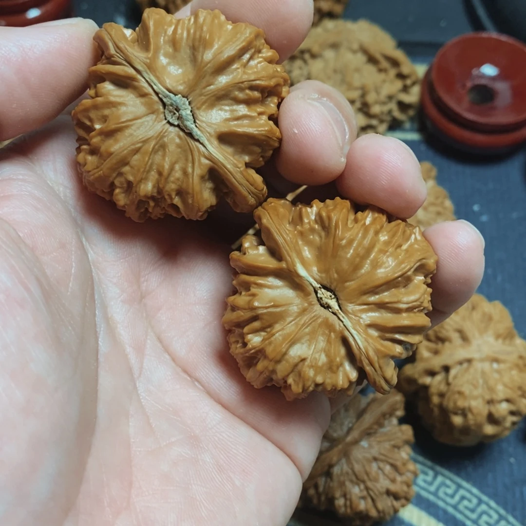 文玩核桃把件白狮子 42 39.9