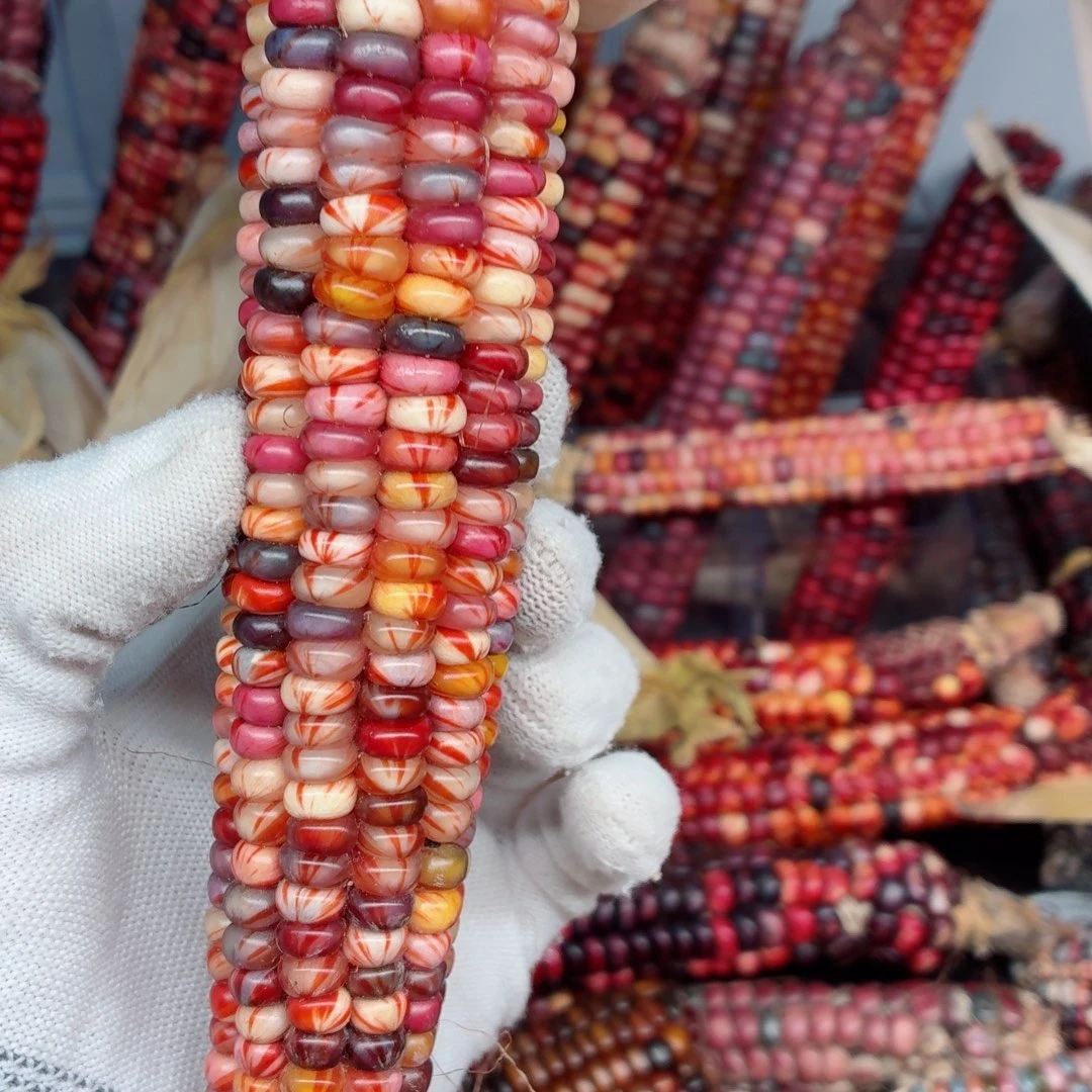 萌***玩白玉菩提吊坠文玩精品文玩精品