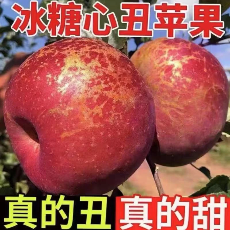 云南昭通丑苹果产地直发当季水果红富士孕妇新鲜维生素c水果