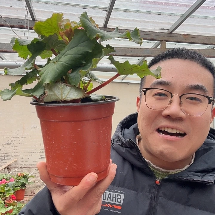 毛***哥完全开放处理风暴粉➕保温