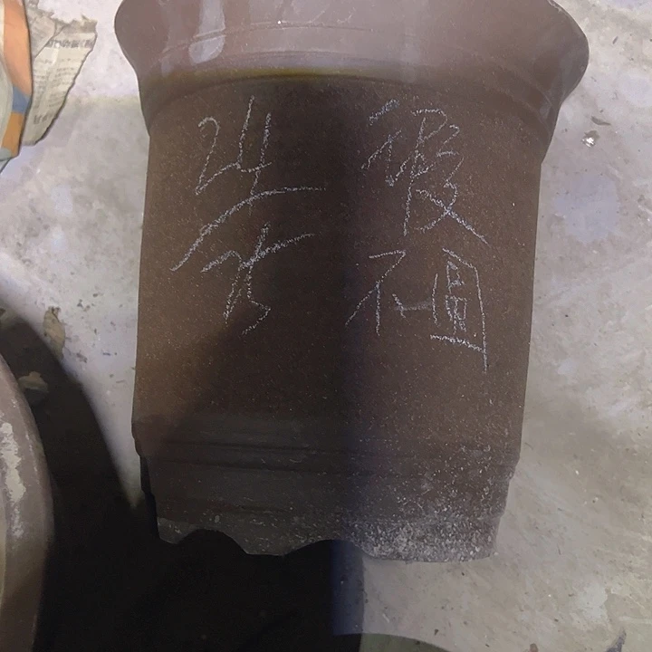 紫砂花盆特价清仓处理