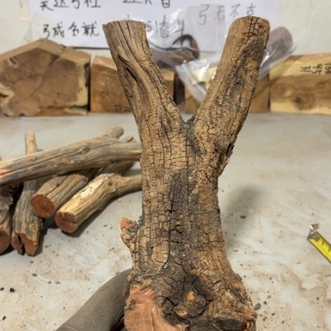 大果紫檀（缅甸花梨）良****生