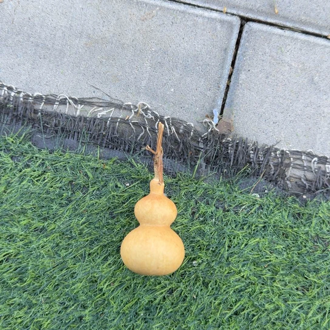****康阴沉木啊啊啊啊啊啊啊啊啊