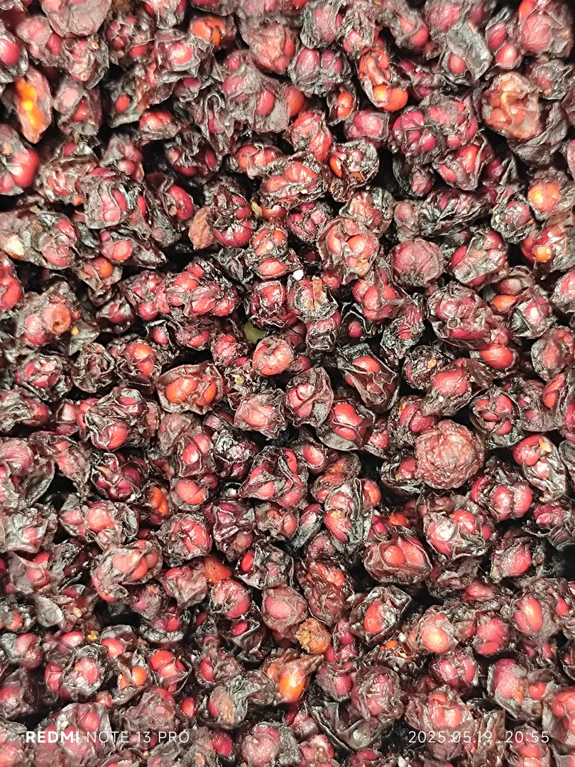 【五味子】北五味子