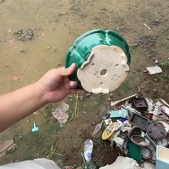 我是第十二次看到这种人出现吗