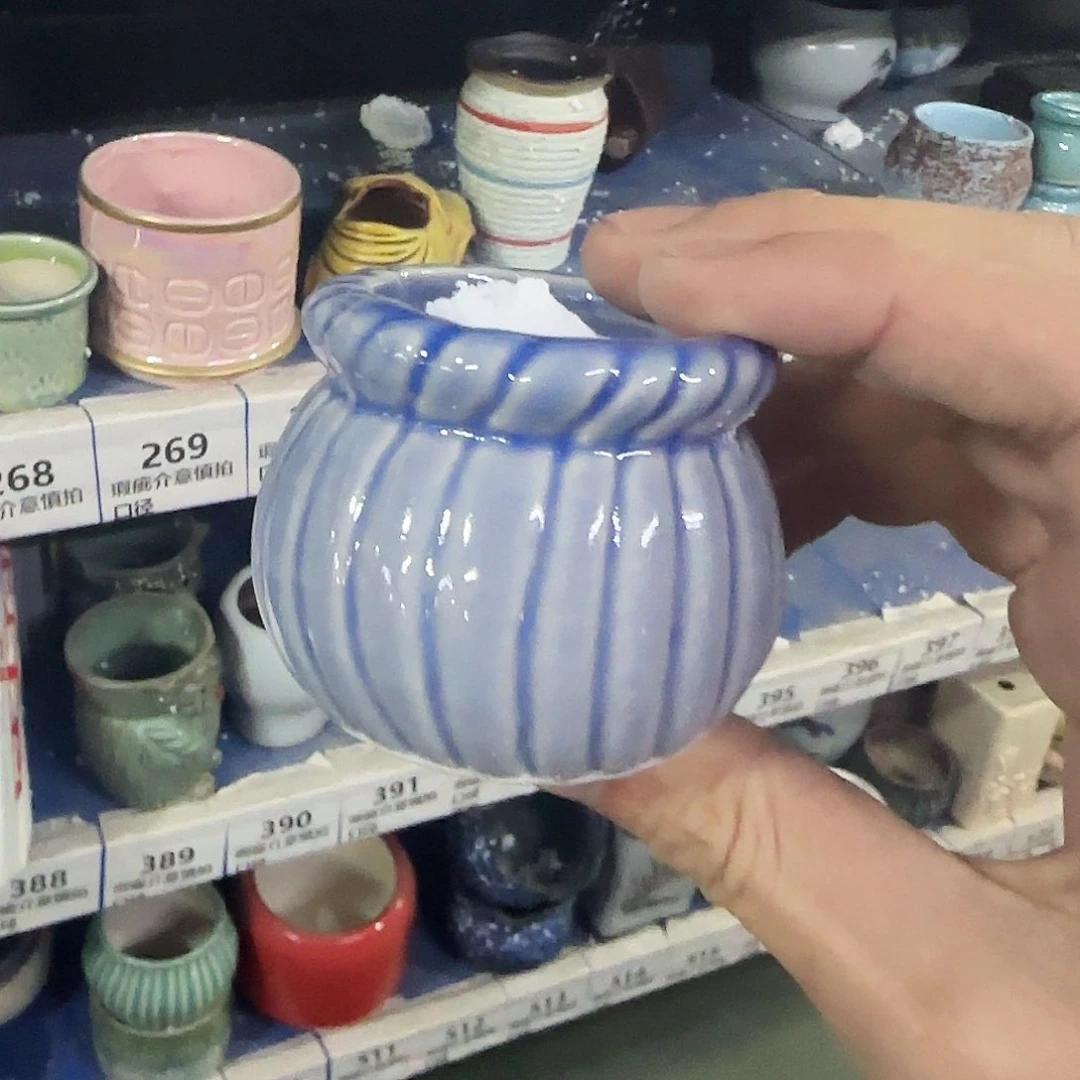 福利局绿植多肉盆［凑9元包邮24小时发］24