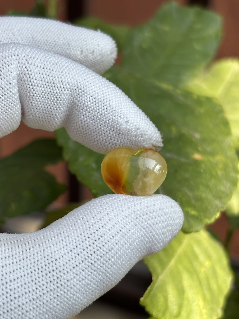 5578天然蜜蜡琥珀屁桃配饰17.2x14.4x7.8mm