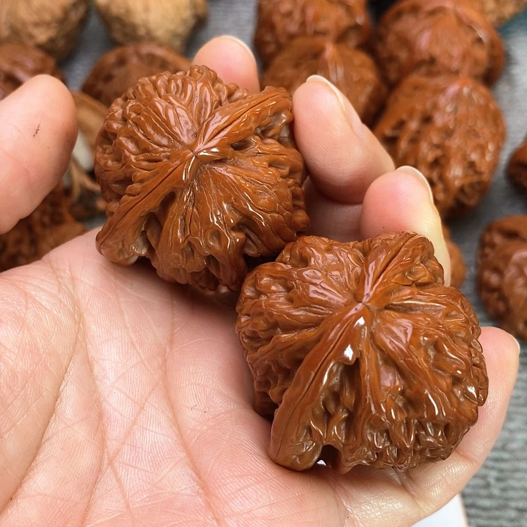 木质类白狮子。