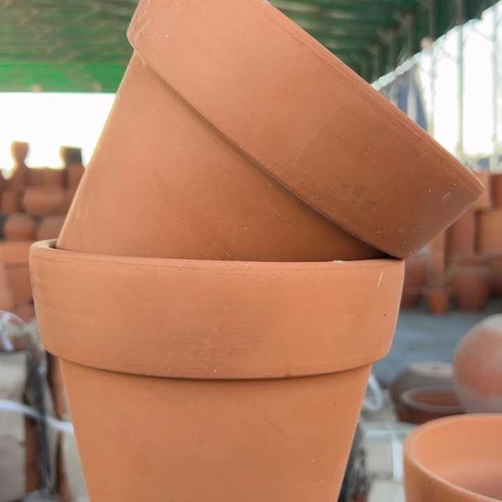 红陶20×17 拍一发二