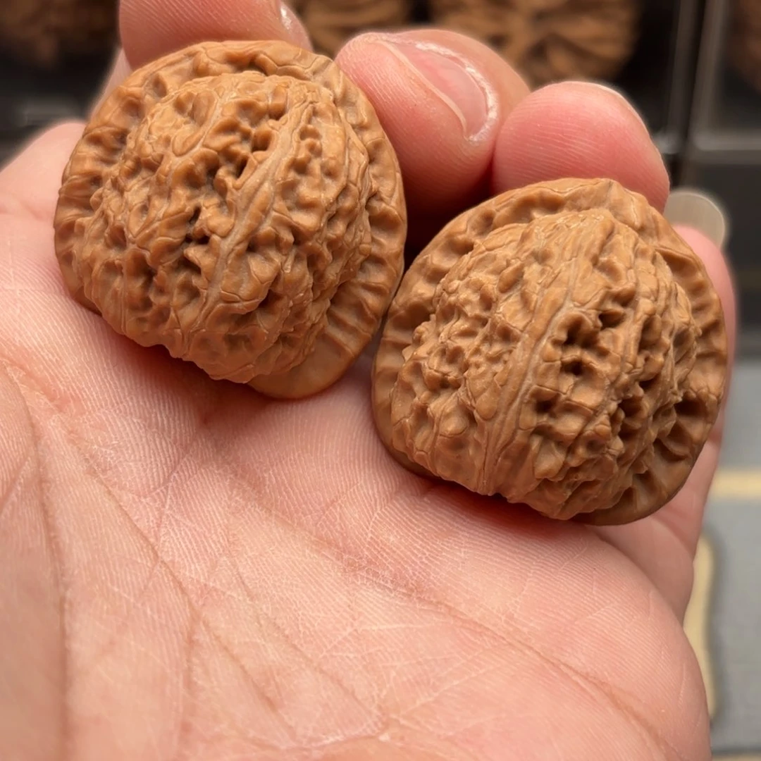 文玩核桃把件G***s白狮子