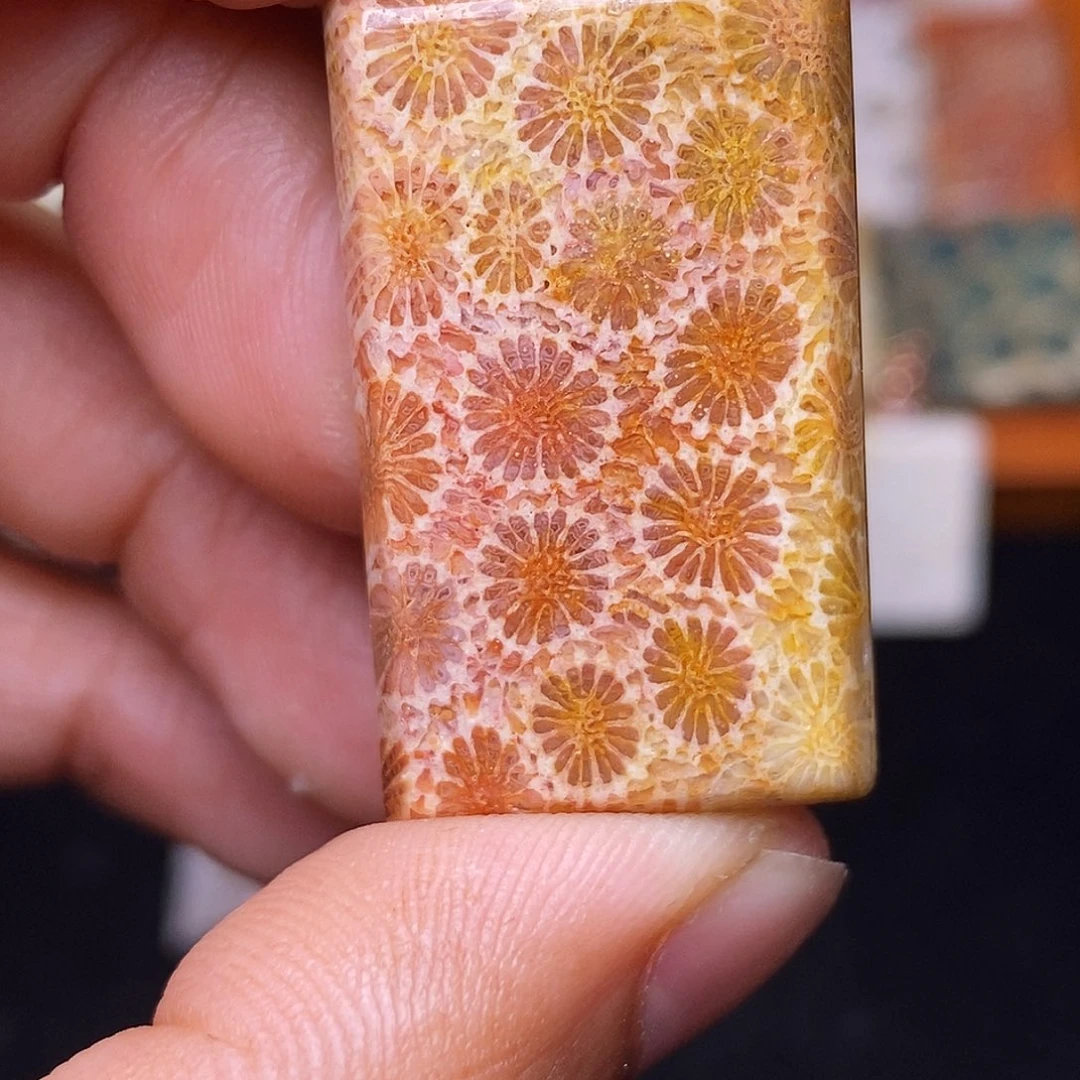 学****硅化玉合金珊瑚玉