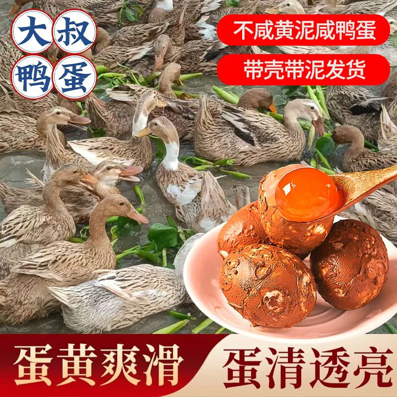 【10个生咸鸭蛋咸蛋】带泥发货生鲜新鲜黄泥研制不流油正宗