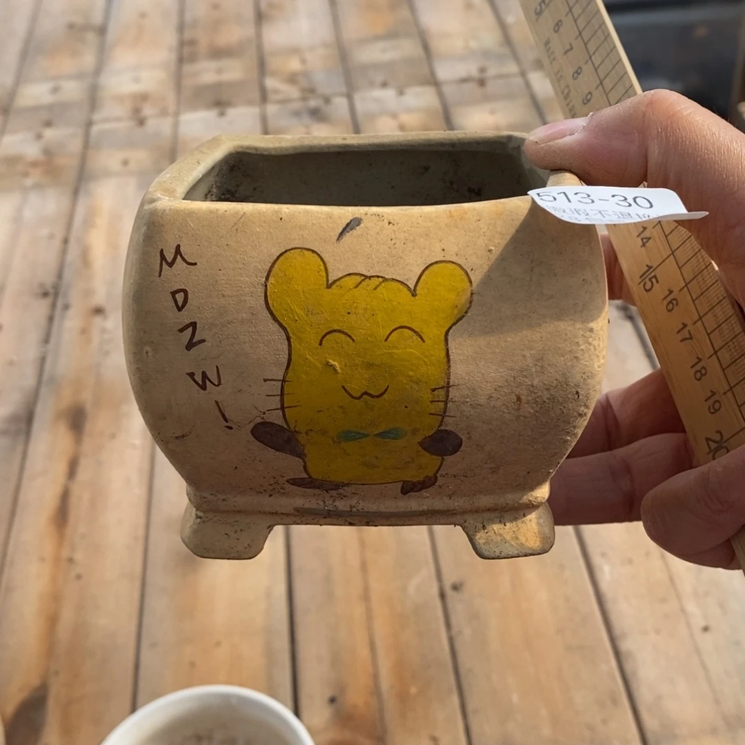 30号多肉盆一个呀