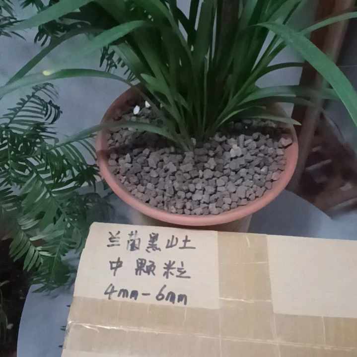 用***毅兰菌颗粒中颗粒6.6斤