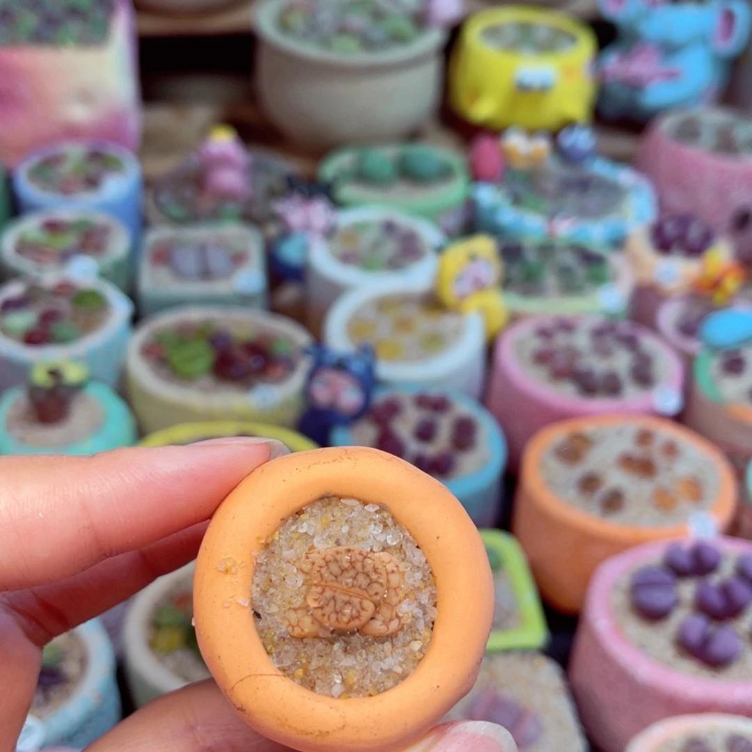 323 8888888888888888