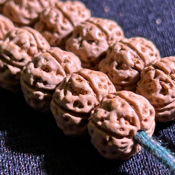 凹底梅花单圈 小金刚菩提 手串