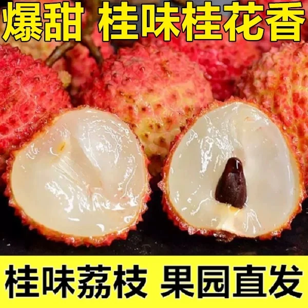 【京东冷链/YTO冷链】正宗桂味荔枝头茬现摘新鲜荔枝茂名老树桂味JG