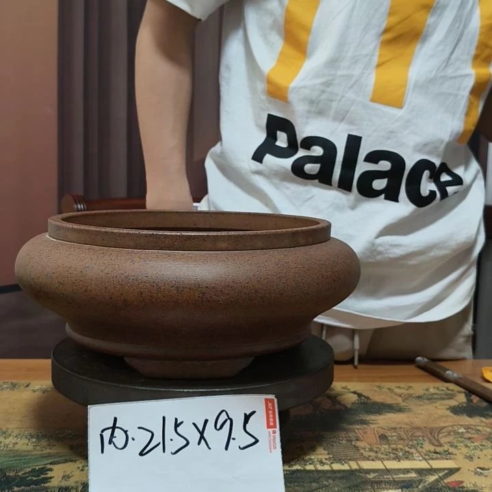 来来来啦咯啦咯啦咯