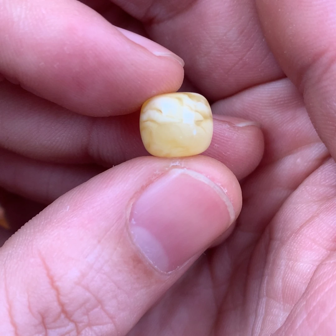 琥珀裸石未镶嵌蜜蜡