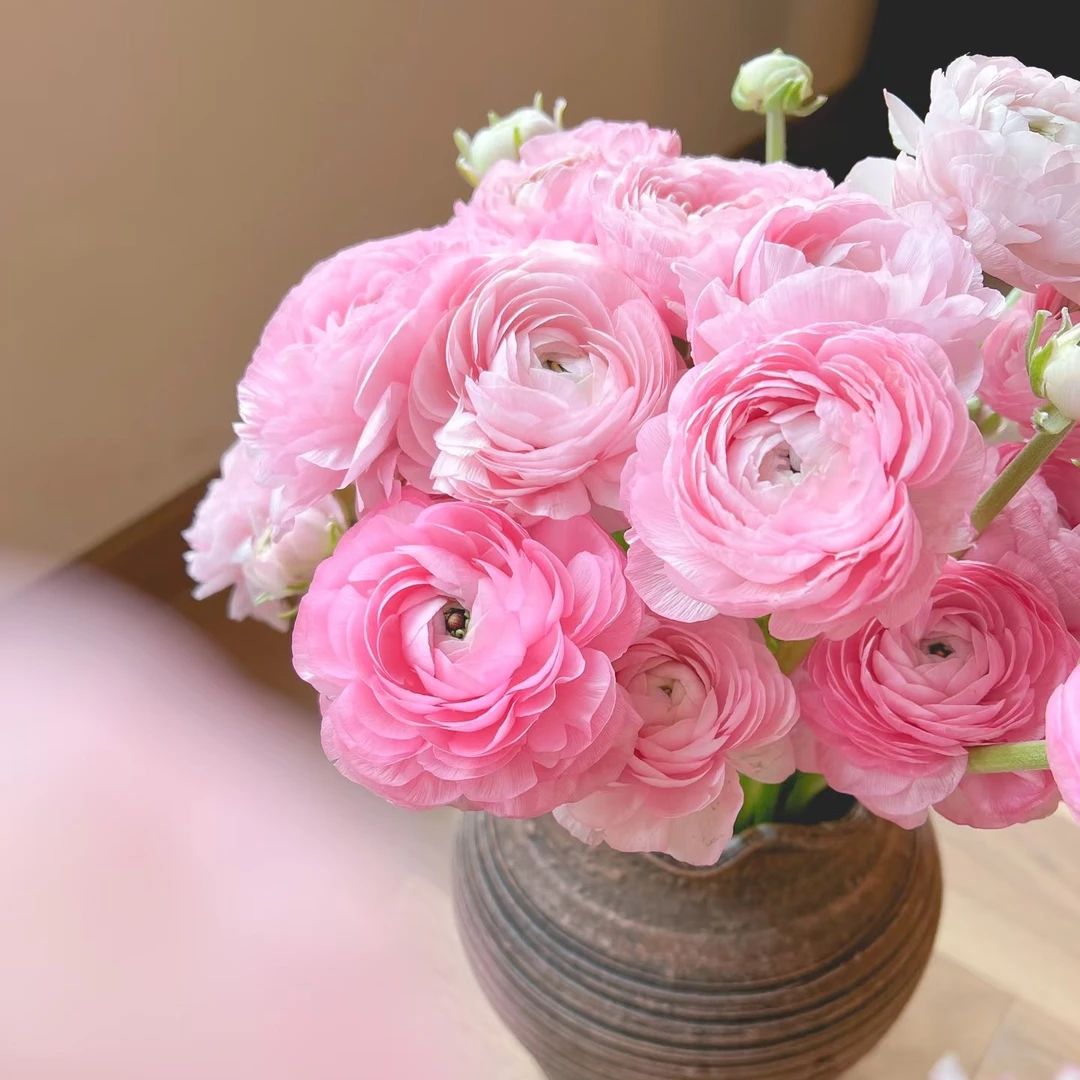 特价《粉色洋牡丹一扎》任意满两单顺丰包邮任意三单送花瓶今天拍明天到次日达
