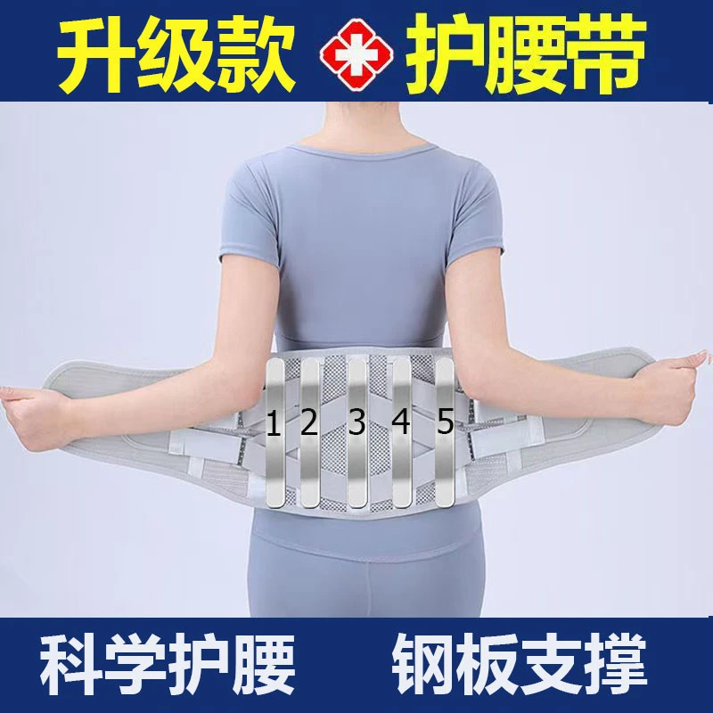 护腰带钢板支撑腰椎间盘久站久坐弯腰干活透气保暖男女四季通用