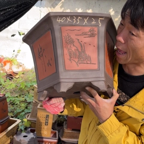 紫砂花盆特价包邮送盒