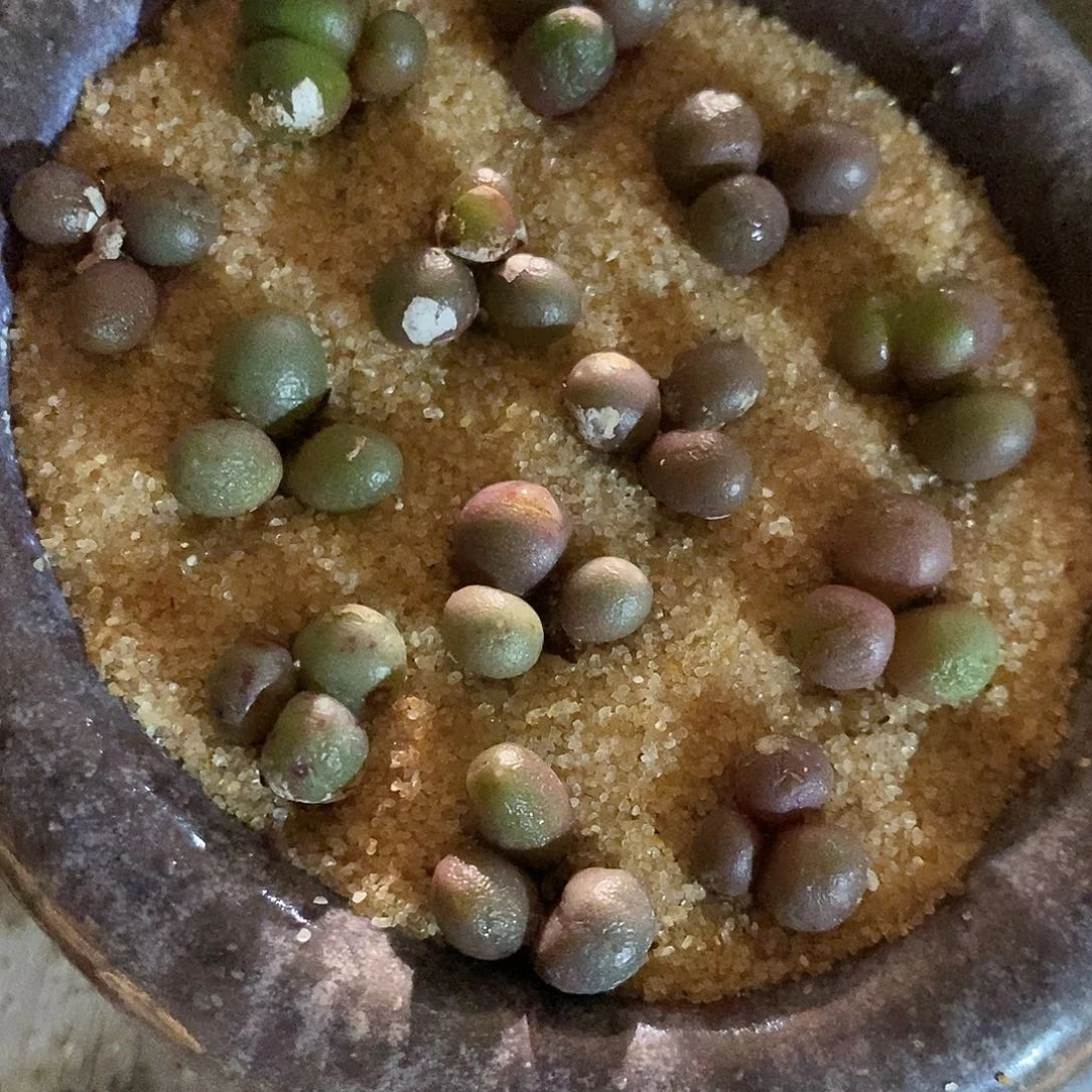 一颗三头紫葡萄。