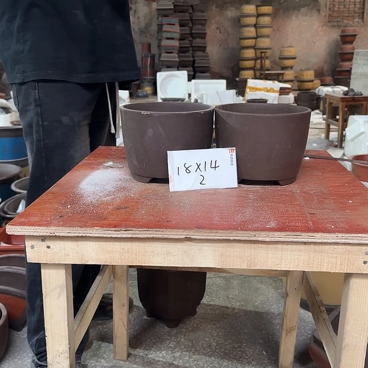 紫砂花盆景盆景盆