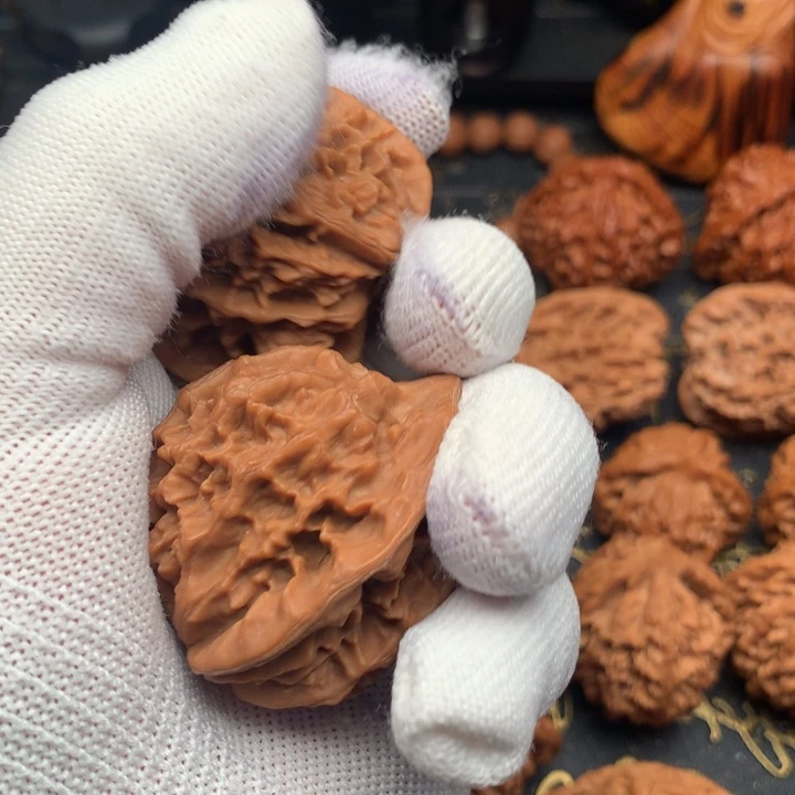 酒*秦岭森林中发现过