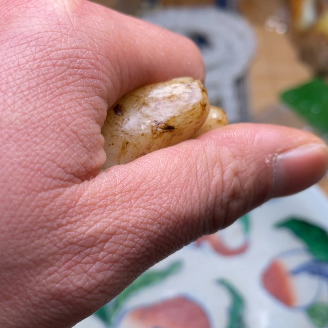 精品好物包邮到家