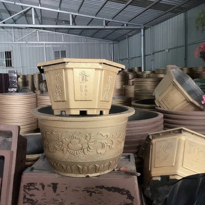 八角60两个有孔金色的