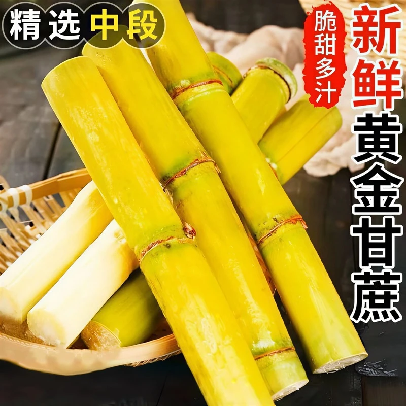 云南新鲜甘蔗黄皮甘蔗黄金甘蔗现砍现发应季上市脆甜多汁水果XX