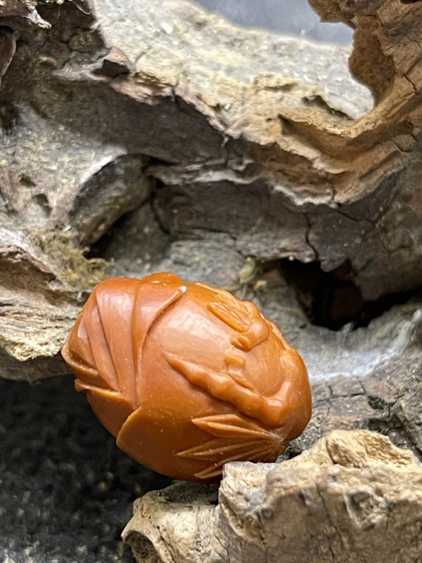 高风亮节竹报平安竹节