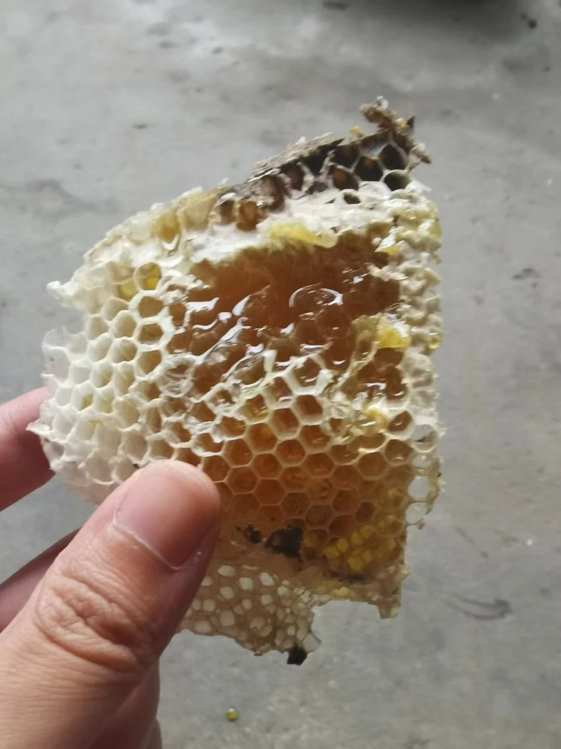源自西岭雪山蜜源的纯正百花蜂蜜美味可口